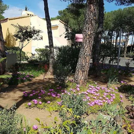 Location Cap Agde, Sud, Clim, Parking, Deco Nature Apartmán
